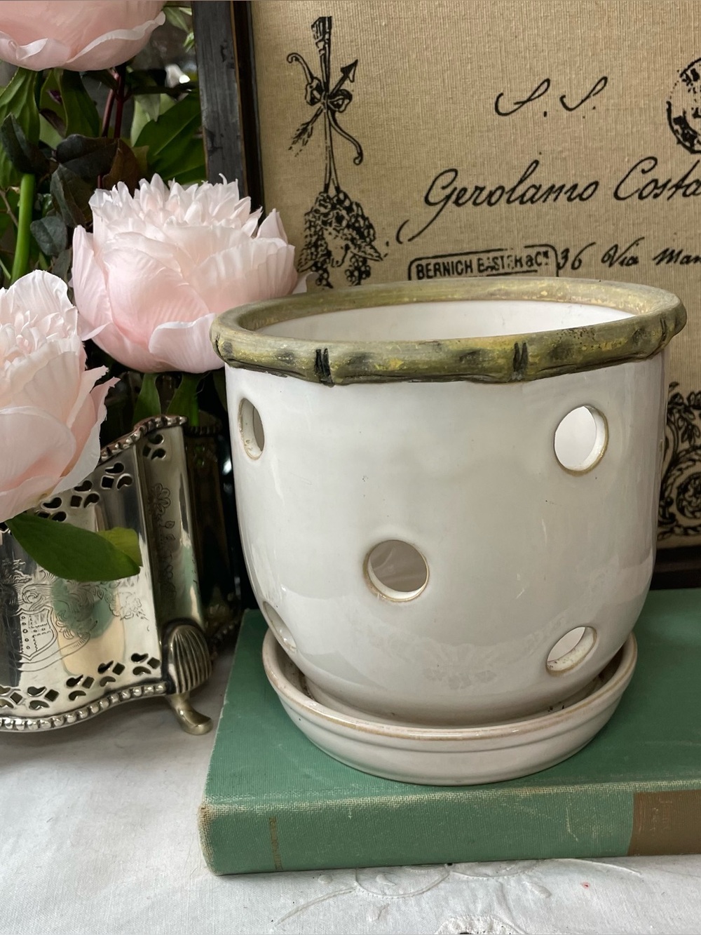 New England Pottery Ceramic Orchid planter bamboo edge container pot